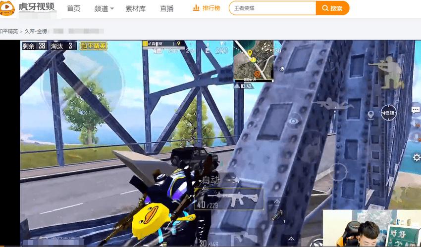 探索和平精英辅助对游戏公平性的挑战