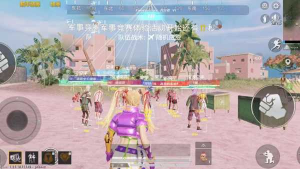 和平精英「毛豆直装」辅助外挂